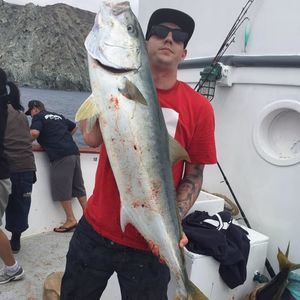 Meet your Posher, Jason